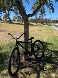 Throne 29er