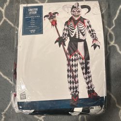 Sinister Jester Costume