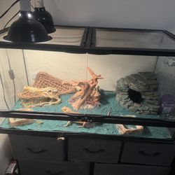 Reptile Tank And Accessories 