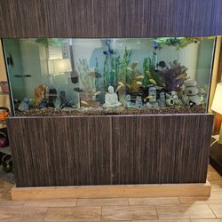 Complete Full Custom Aquarium