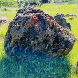  Rock "Boulders" Landscaping Boulders Sold Here Any Sizes