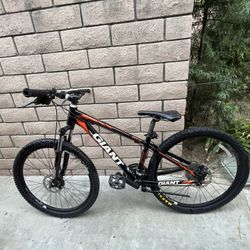 Giant Mountain Bike XS Frame