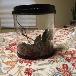 Top fin Tank For Fish Or Other. 