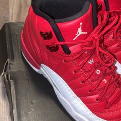 GS Air Jordan 12