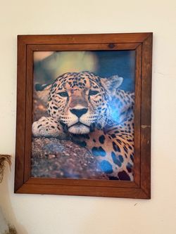 TIGER PICTURE 20 1/2"w x 24"tall; cross streets are Arapaho & Waterview