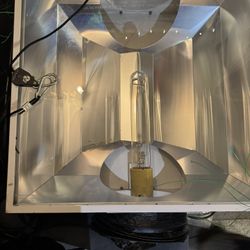 Hydroponic Grow Lights 