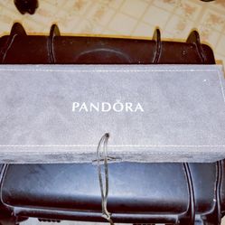 Pandora Jewelry Box And Charms