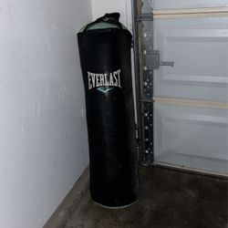 Everlast  Punching Boxing Bag