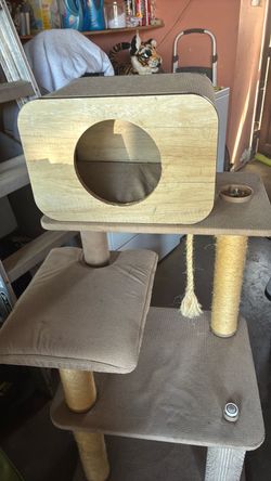 Cat Tree with Condo and Scratching Posts