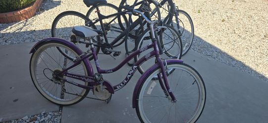Beach cruiser