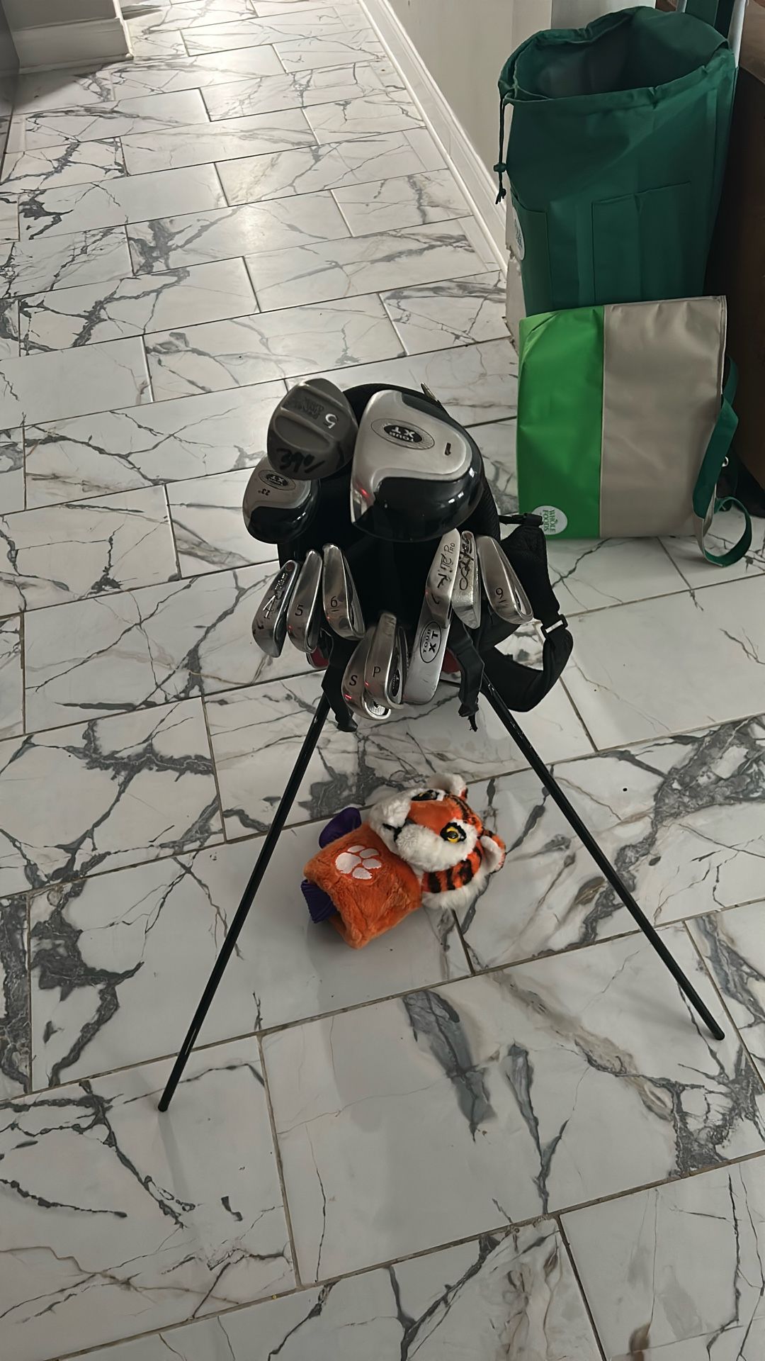 Gold Clubs And Bag