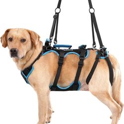 XTRA LARGE Dog Lift HarnesSMale Dogs Full Body Support Sling 4 Handles Black XL