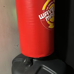 Punching Kicking Bag