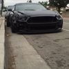 Mustang01