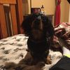Kacper