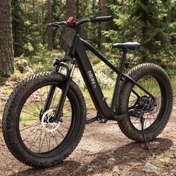 Fat Tire Electric Bike