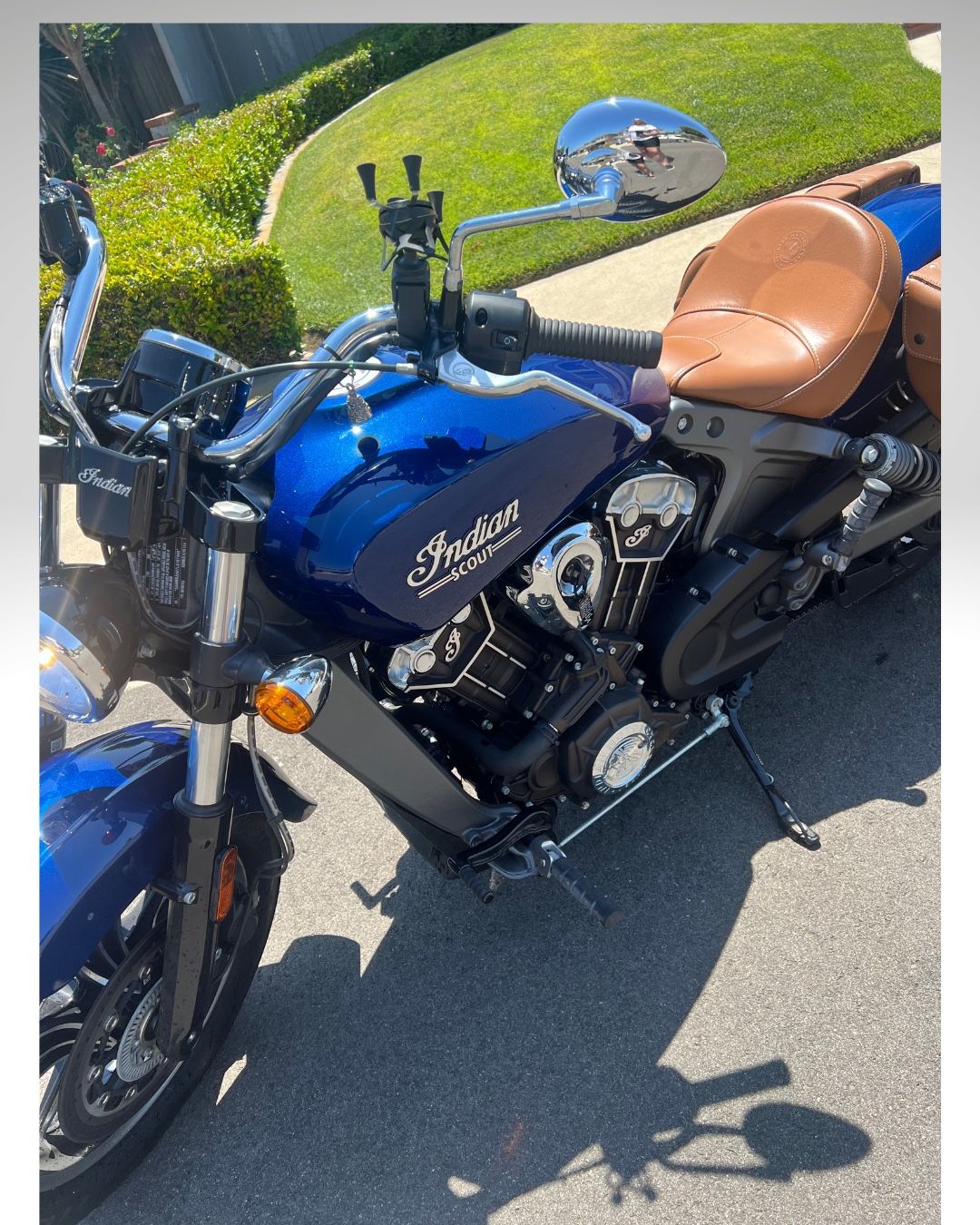 2020 Indian Scout