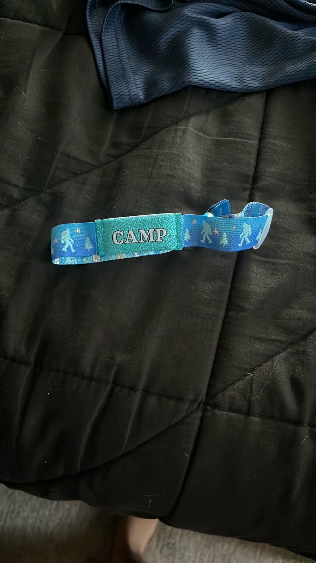 Camp Flog Gnaw Ticket