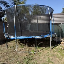 Trampoline 14”