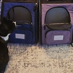 Kitty Backpacks
