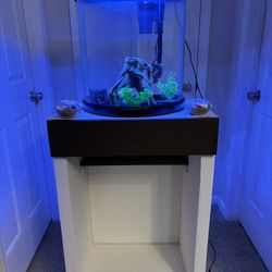 20 Gallon Fish Tank  With Custom Stand And Lots Of Accessories 