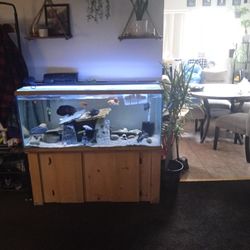 75 Gallon Fish Tank Everything Is Included