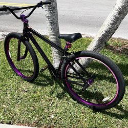 Big Flyer 29” Bike