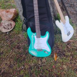 Electric Guitar With Case