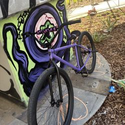Mafia 29er TRADES 