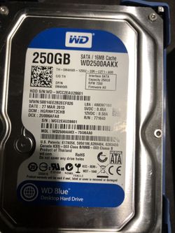 250 Gb  Hard Drive 