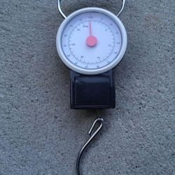 Hanging Weigh Scale