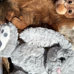 teddy $1 each