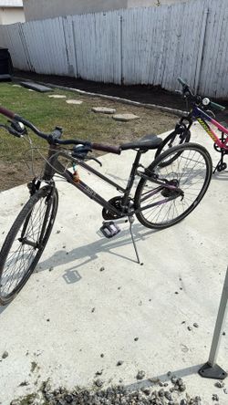 Girls Bike And Woman’s Bike