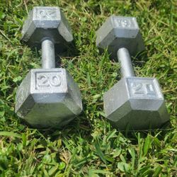 2 X 20 Lb. Dumbbells,  Solid Iron 