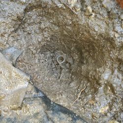 Need New Sprinklers ?