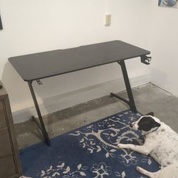 Gaming Desk $30