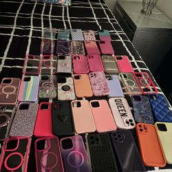 iPhone 13 Pro Max Cases