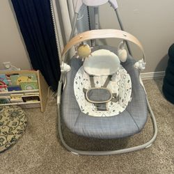 Ingenuity Baby Swing 