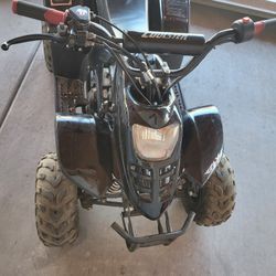 2019  Atv