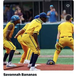 Savannah Bananas Saturday Petco