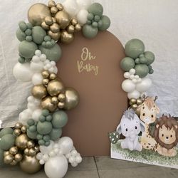 Balloon Arch And Backdrop 