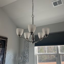 5 Light Brushed Nickel Traditional Chandelier 