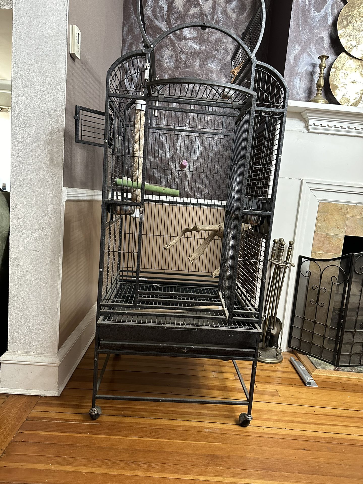 Parrot / Bird Cage