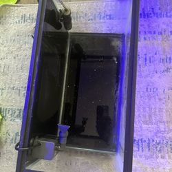 5.5 Gallon aquarium 