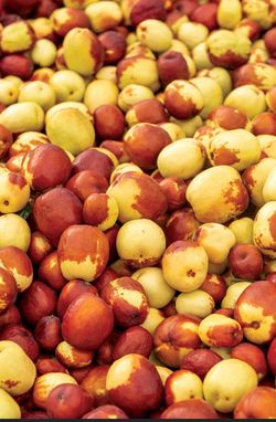 Jujube