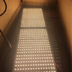 240W Quantum Board Grow Light