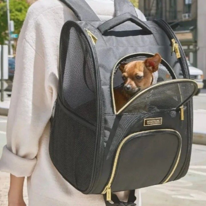 Dog/Cat Carrier Backpack (New!) Kenneth Cole, black & gold