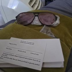 Gucci  Sunglasses