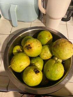 Ripe guayabas