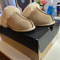Ugg slippers, size 7, new. Never worn ,sand color